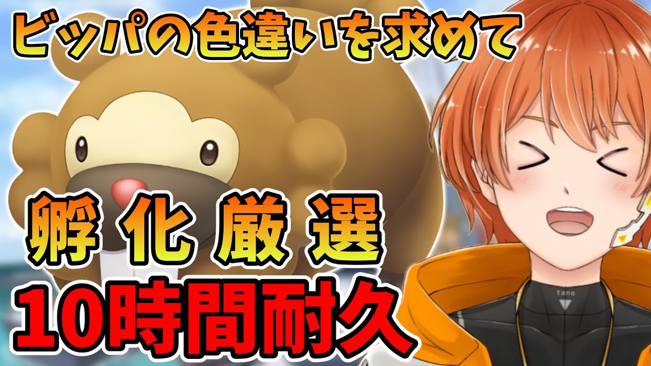 【色違い厳選】ビッパの色違い孵化厳選耐久！覚悟決めてやるしかない！ 2200匹～【ポケモン】