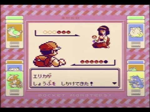 【ポケモン赤】 スピアー君はいつ戦力になるのか #5