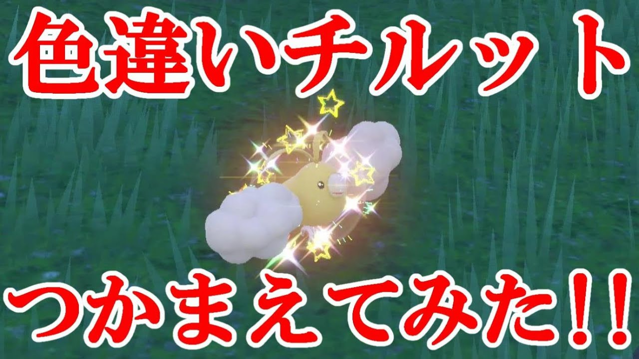 【ポケモンSV】色違いチルットつかまえてみた！！