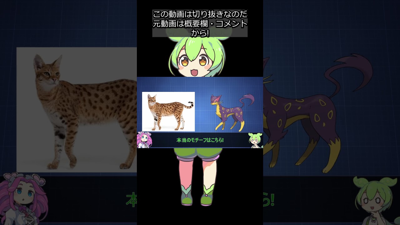 【全猫ポケモン解説⑨】チョロネコ＆レパルダス #shorts #ずんだもん解説 #切り抜き
