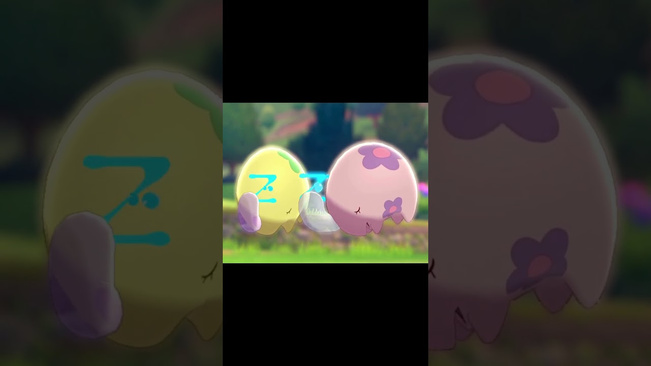 寝ているムンナ　#Shorts