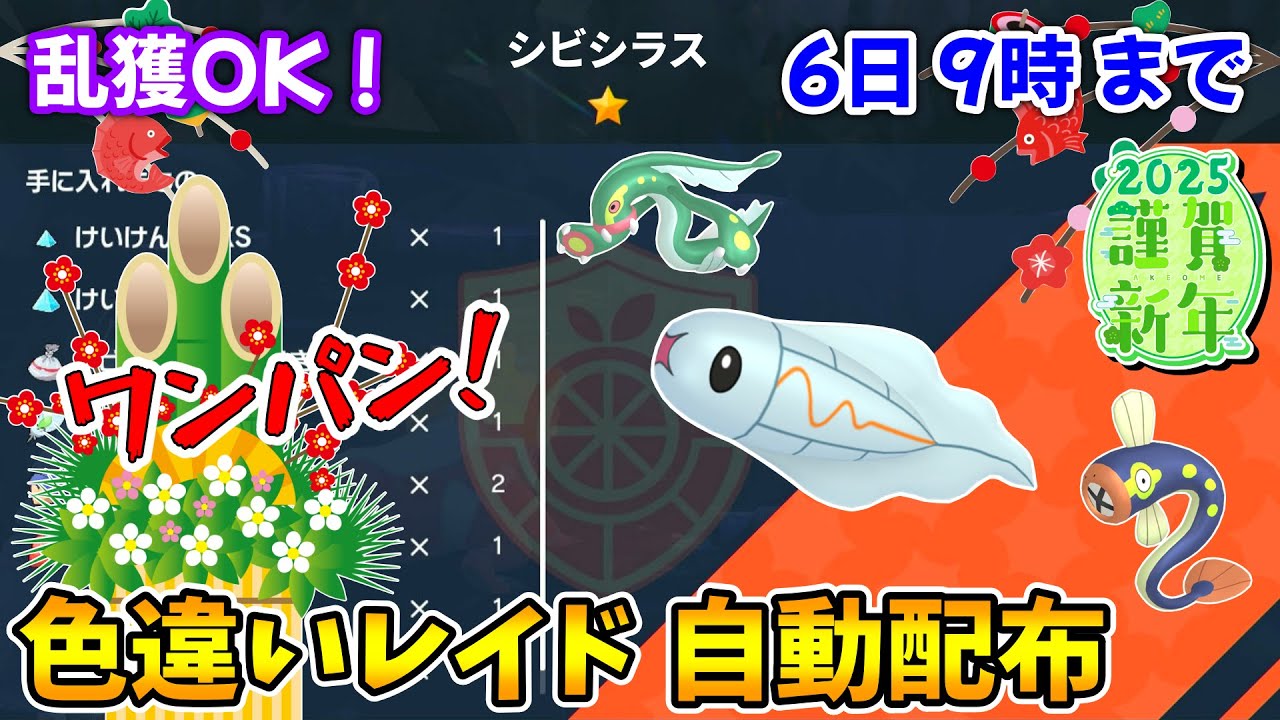 乱獲OK！シビシラス色違いレイド自動配布会！【ポケモンSV】