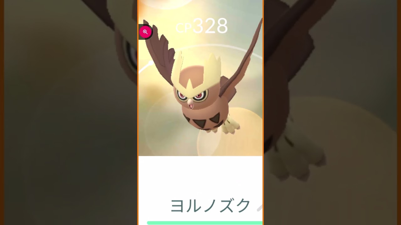 ＃shorts◇野生のヨルノズク　ジョウト地方No.0164　ふくろうポケモン＃374