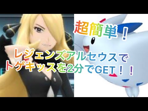 シロナの切り札トゲキッス！野生のキッスを捕獲しに行くぞ！超簡単！