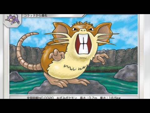 ポケポケ　ラッタチャレンジ