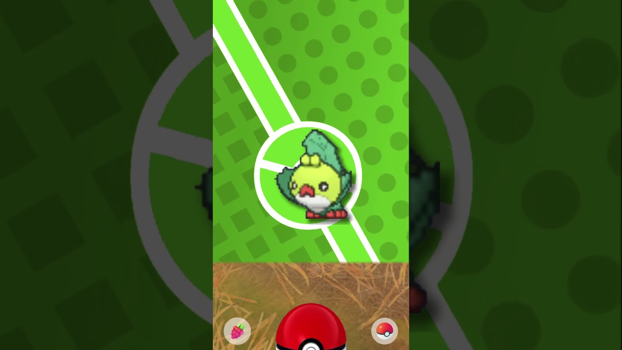 Shiny Sewaddle!  ~ Quest for a Shinydex