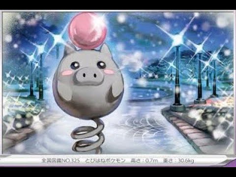 あけましておめでトマト🐻【ポケモンSV】