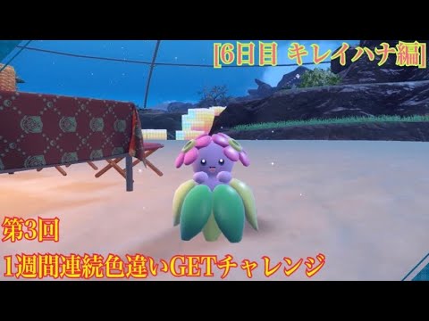 第3回1週間色違いGETチャレンジ【6日目 キレイハナ編】