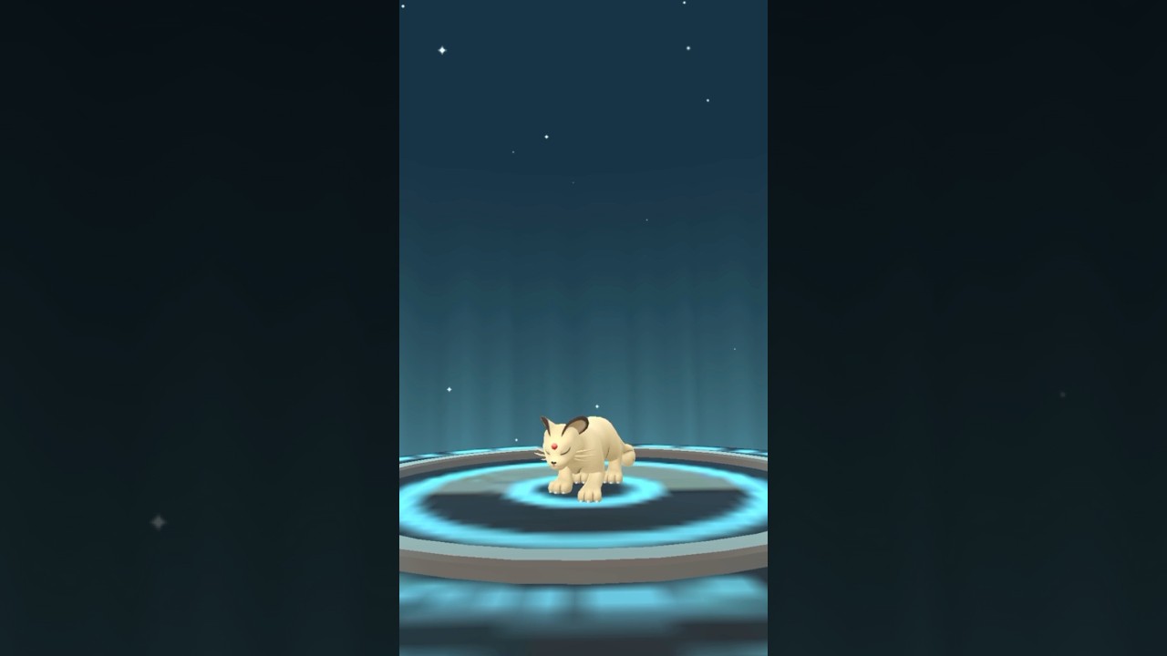 【 ポケモンgo 】ニャース → ペルシアン ！アニポケの影響でしゃべってくれないと違和感w【 うさぴよの巣 】#pokemongo #meowth #persian