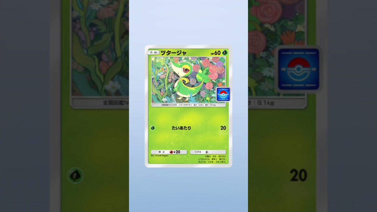 もう、、ツタージャ良いって…【ポケポケPROMO開封】#ポケポケ #ポケポケ開封チャレンジ