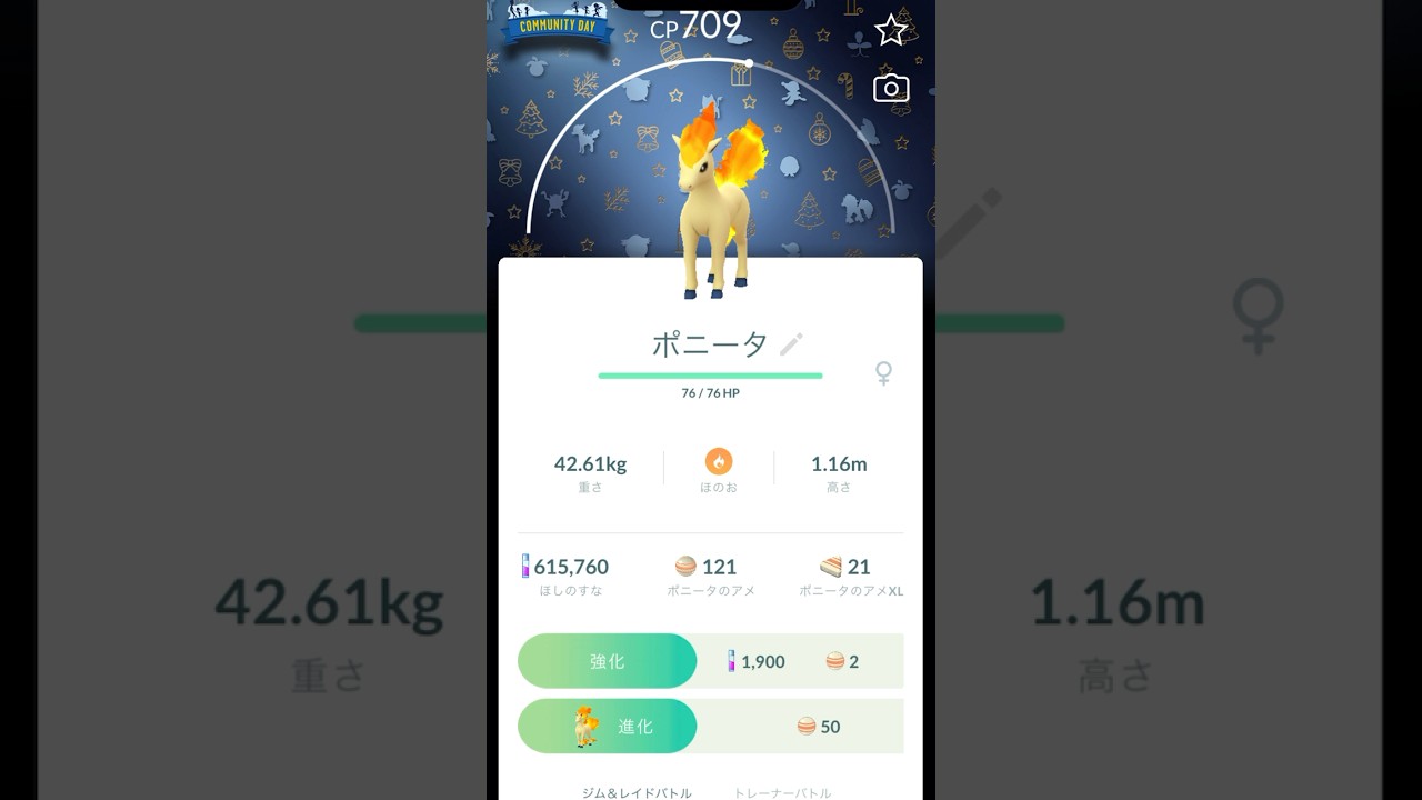 ポケモンGO クリスマス背景2024 ポニータ ギャロップ 進化