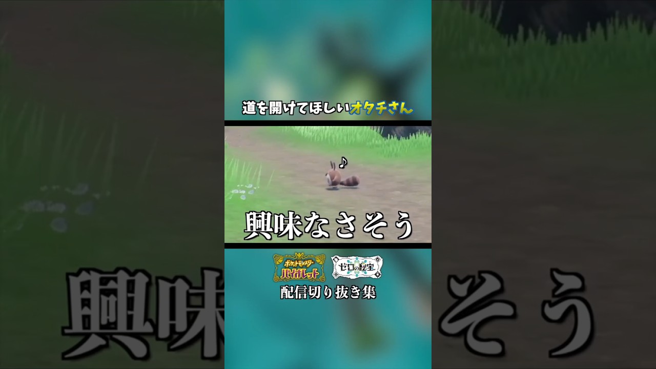 道を開けてほしいオタチが可愛いww | ポケモンSV #Shorts #ポケモン #配信切り抜き