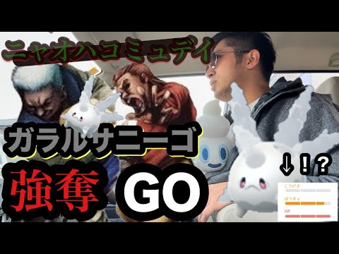 リアルロケット団始動！ニャオハコミュデイの傍らでガラルサニーゴを大量強奪！！神個体獲得なるか！？大人気強奪シリーズ第一弾【ポケモンGO】