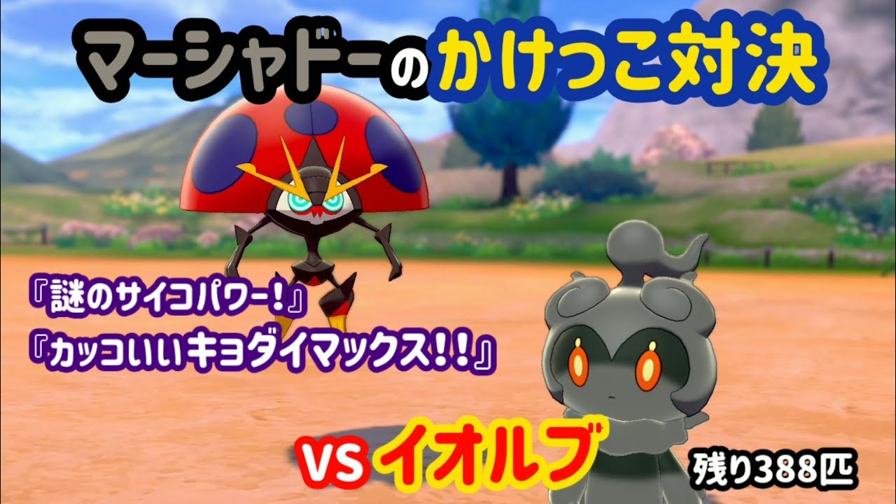 VSイオルブ ガラル図鑑No.12【マーシャドーのかけっこ対決】