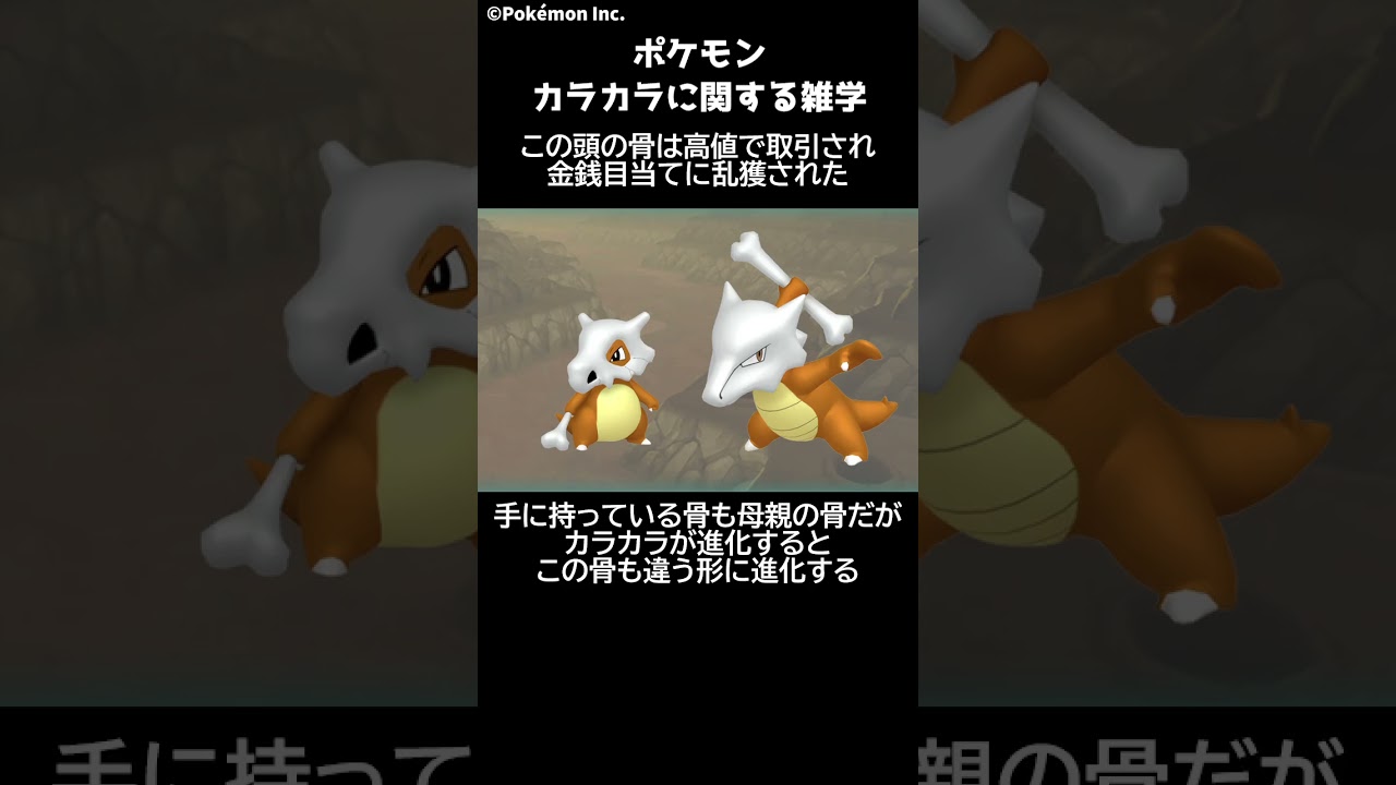 ポケモン 1分でわかるカラカラに関する雑学・豆知識 Pokemon #ポケモン #ポケモンsv #switch