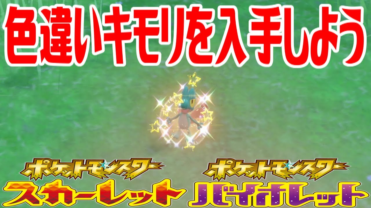 【ポケモンSV】色違いキモリを入手しよう【ポケットモンスター スカーレット・バイオレット ゼロの秘宝 藍の円盤】Pocket Monsters