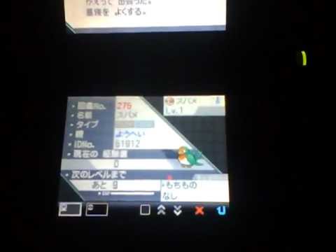 ポケットモンスターBW　色違いスバメ誕生【国際孵化】
