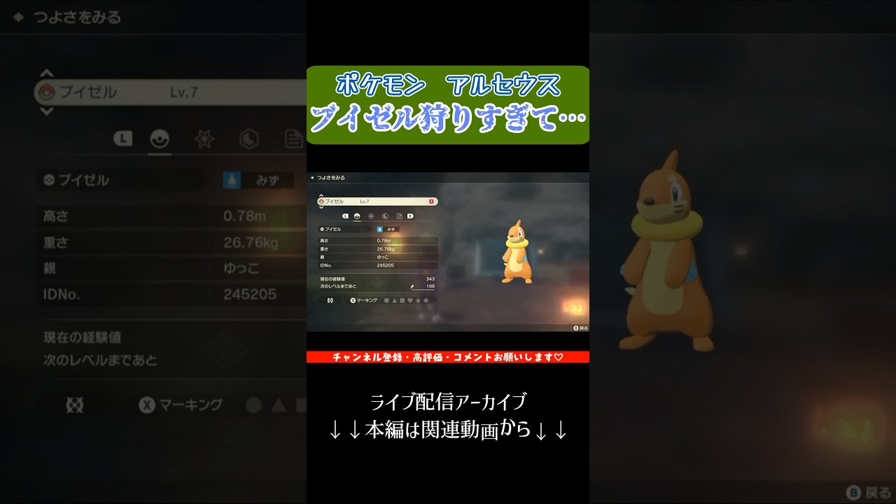 0.8m出んすぎんか？？ブイゼル狩りすぎてまさかの奇跡【ポケモンレジェンズアルセウス】#shorts #ポケモン