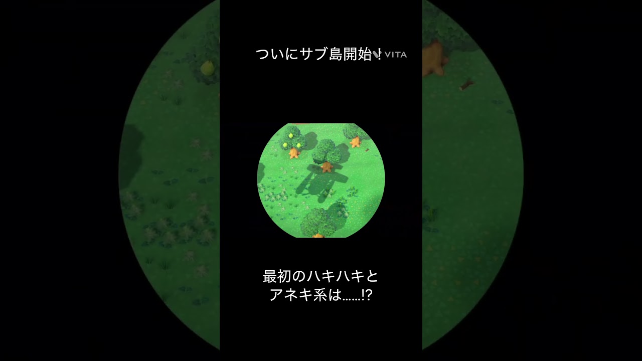 【あつまれどうぶつの森】ついにサブ島開始！ #あつまれどうぶつの森 #shorts