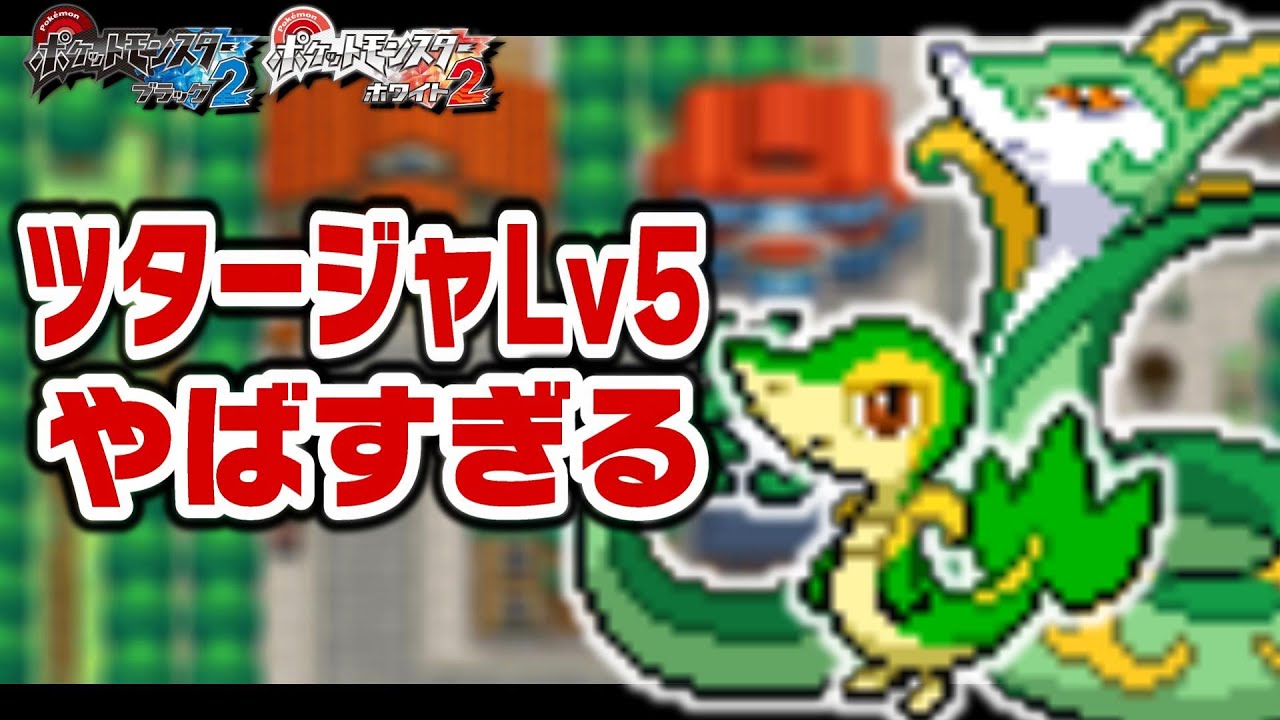 ツタージャLv5が最初のポケモンだったら【1匹縛り旅/ジャローダ/ジャノビー】