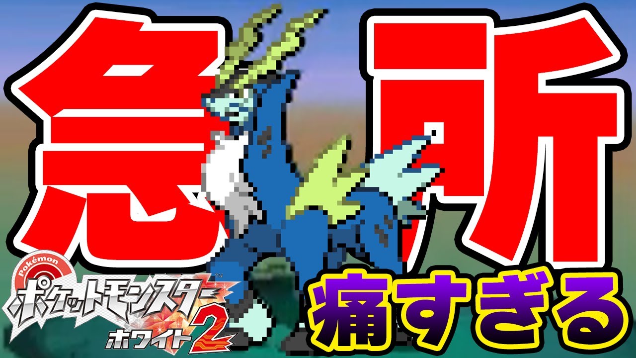 色違いコバルオンの急所で危機感を覚える男【ポケモンBW2】