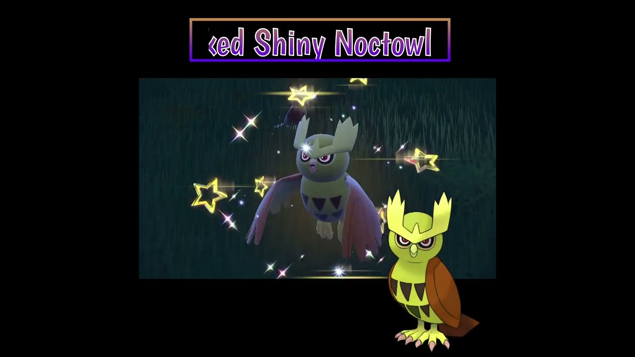 No way! epic rare mark shiny Noctowl encounter!