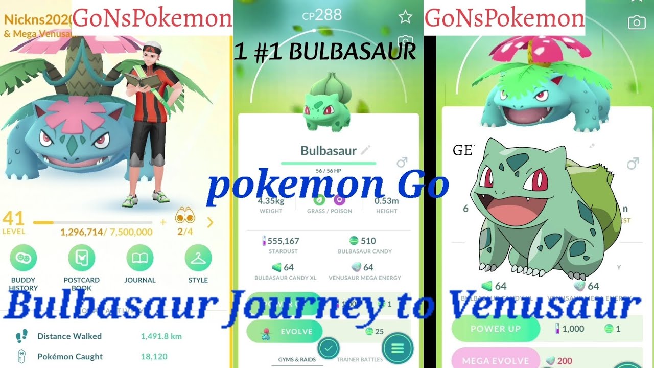 Pokemon Go| Evolution, Bulbasaur Ivysaur Venusaur Mega Venusaur