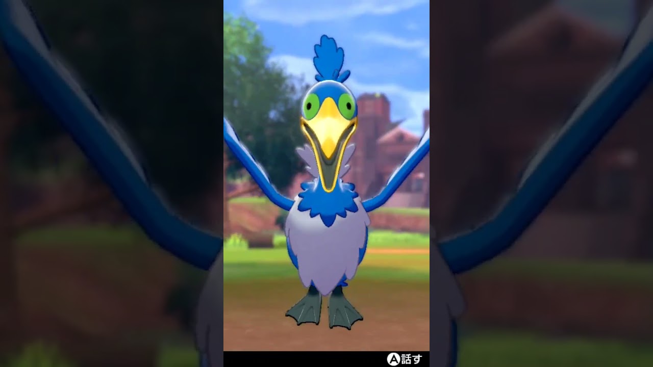 ウッウ Cramorant【ポケモン剣盾】