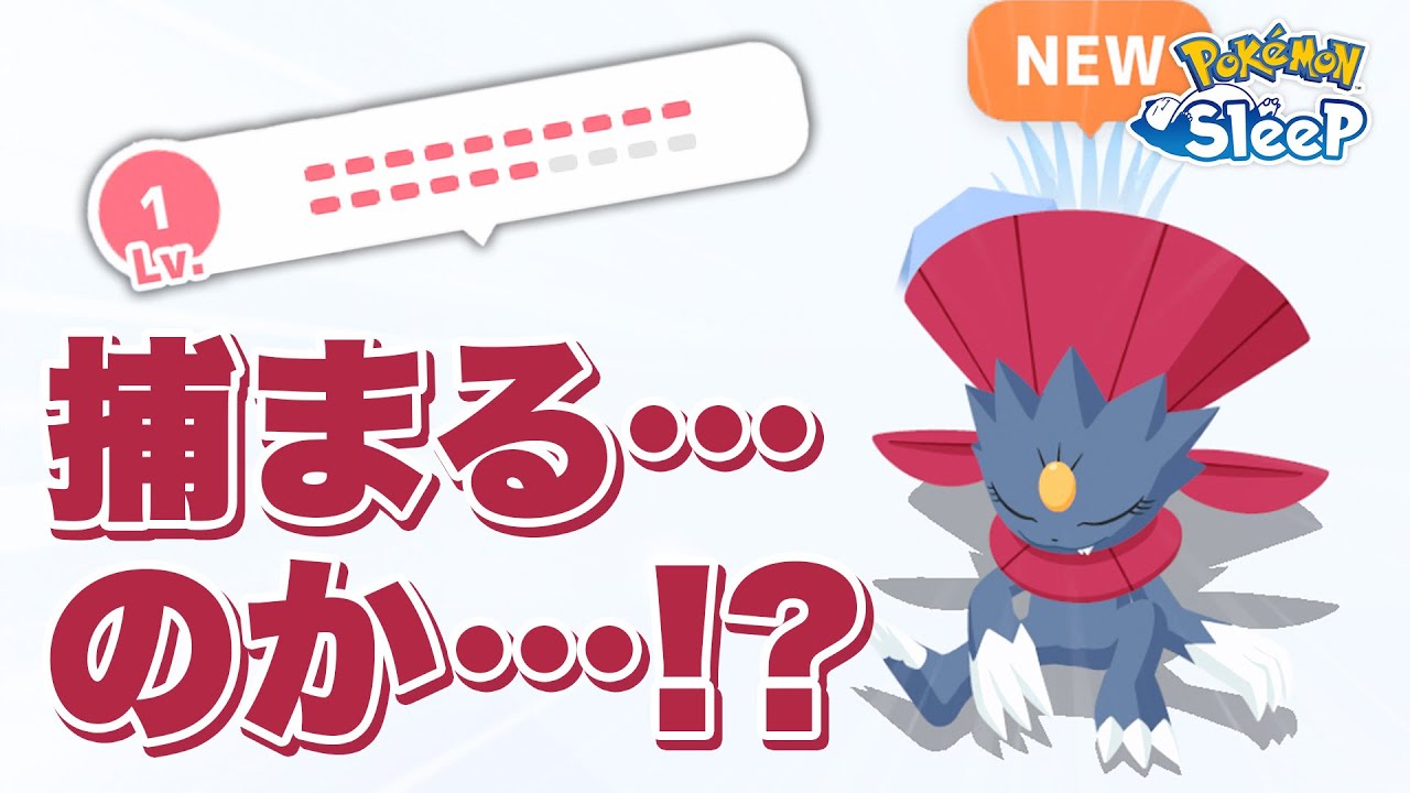 【ポケモンスリープ】初マニューラと激熱バトルを繰り広げる！！