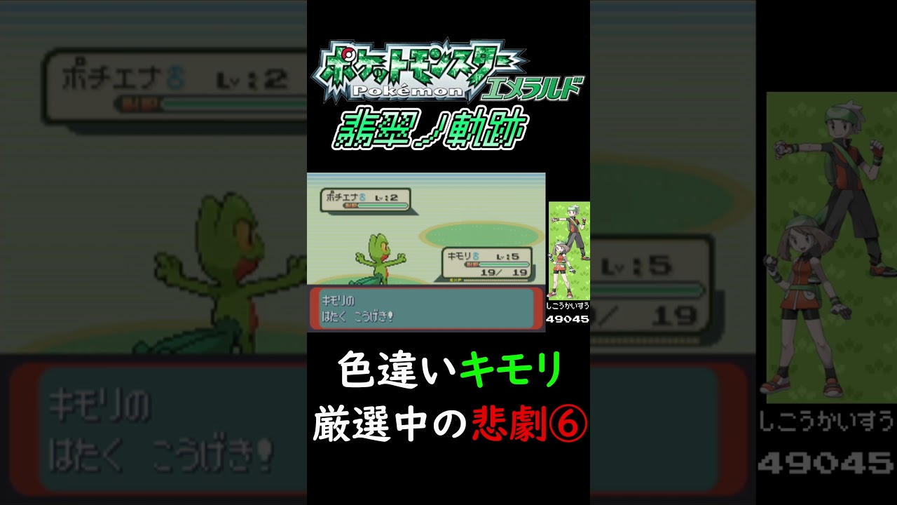 色違いキモリ厳選中の悲劇⑥