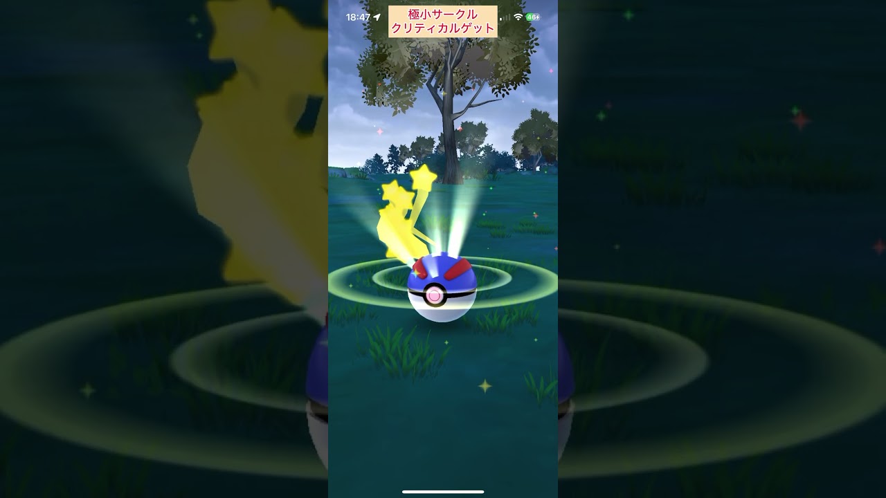 【難易度低】ブイゼル極小サークルクリティカルゲット最速！？【ポケモンGO】