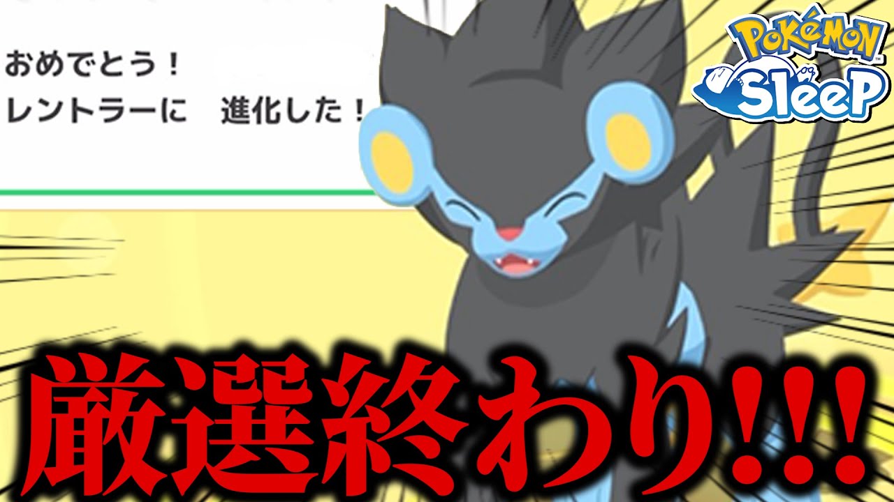 屋根より理想が高すぎる男のコリンク厳選終了する瞬間と覚悟をご覧あれ【ポケモンスリープ】