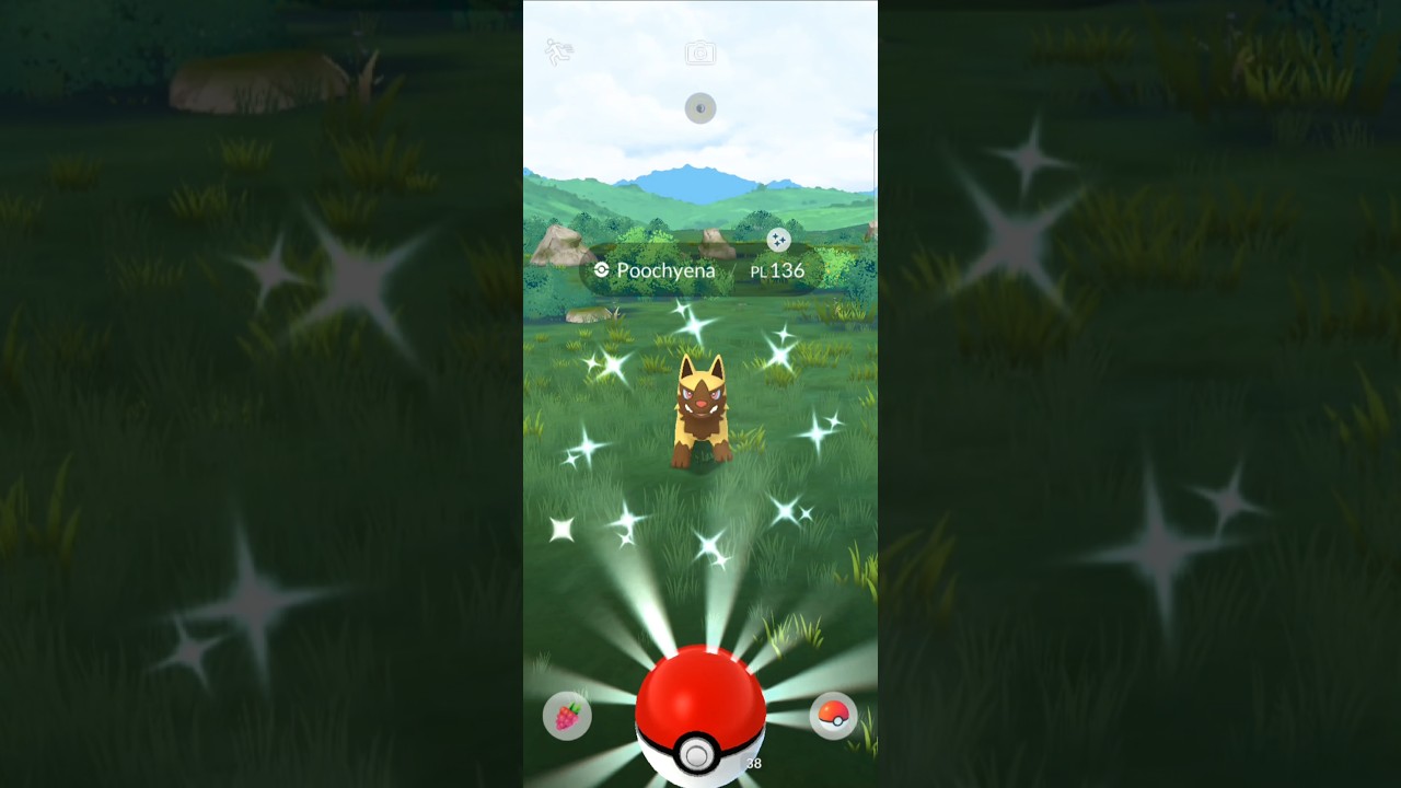 Ho beccato Shiny Poochyena Pokèmon Go #pokemongo #shinypokemon #pokemon #pokemonevent #shiny