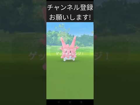［ポケモンGO］サニーゴ色違いチャレンジ!#ポケモンgo #shorts
