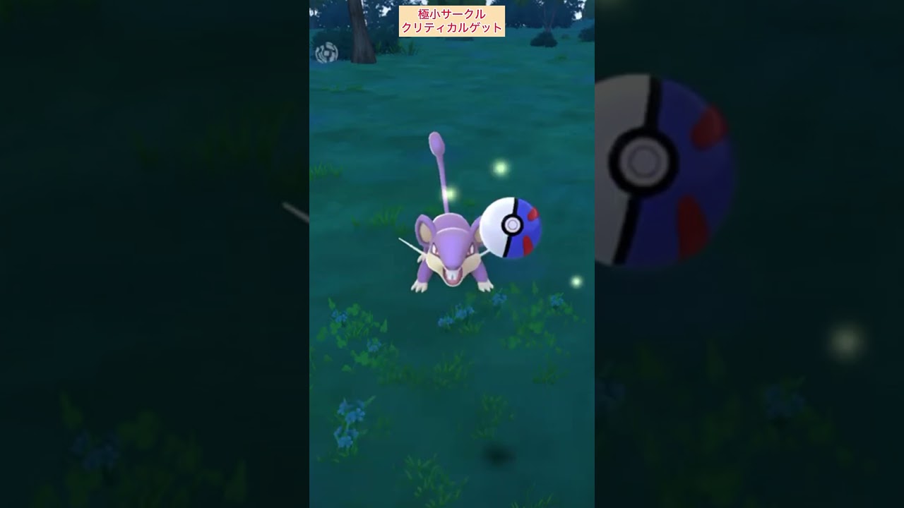 【難易度中】コラッタ極小サークルクリティカルゲット【ポケモンGO】