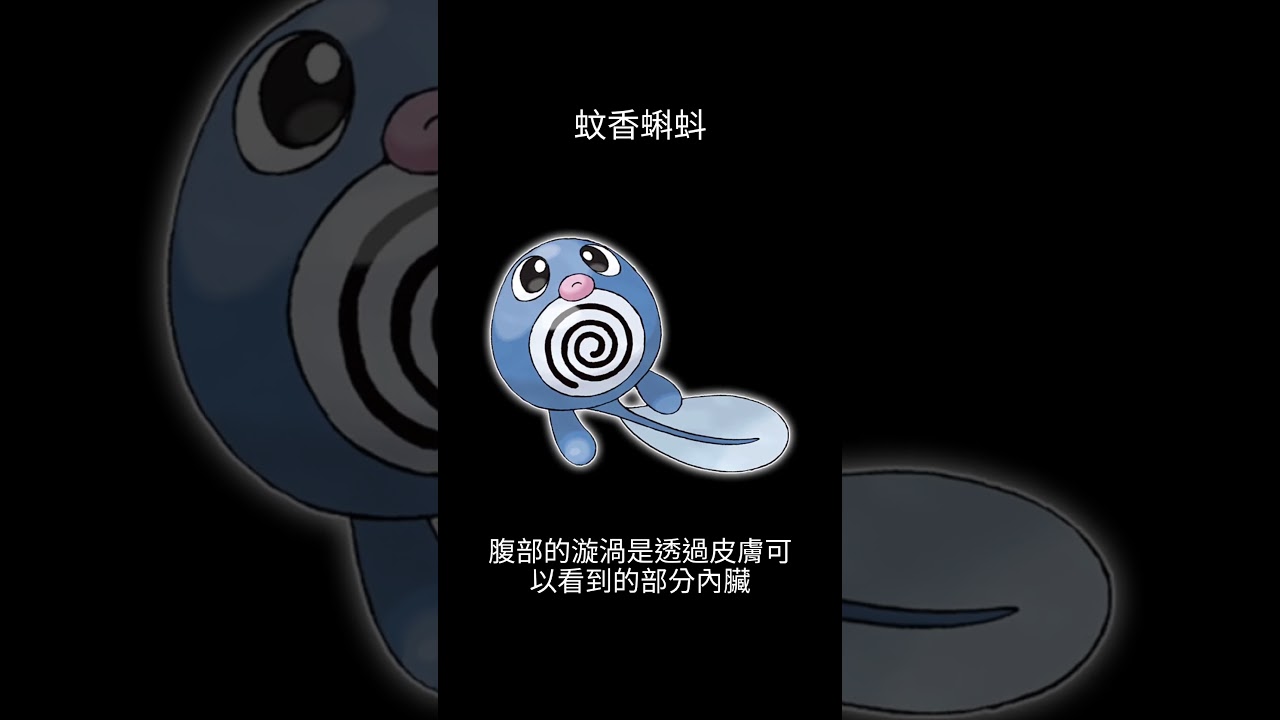 寶可夢圖鑑 #pokemon No.0060 蚊香蝌蚪 ニョロモ Poliwag#0060 #寶可夢卡牌 #pokemongo  #寶可夢朱紫 #寶可夢 #shorts #第一世代 #神奇寶貝