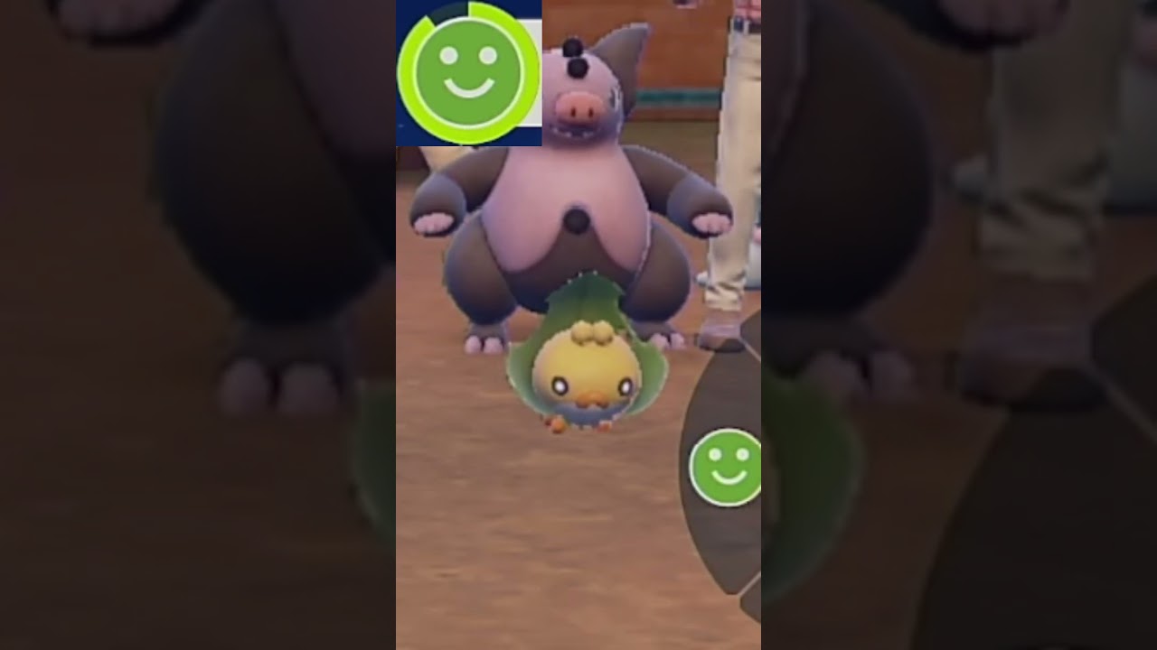 【クルミル】ポケモンエクササイズ【キタカミ図鑑No.13】#Shorts #pokemon