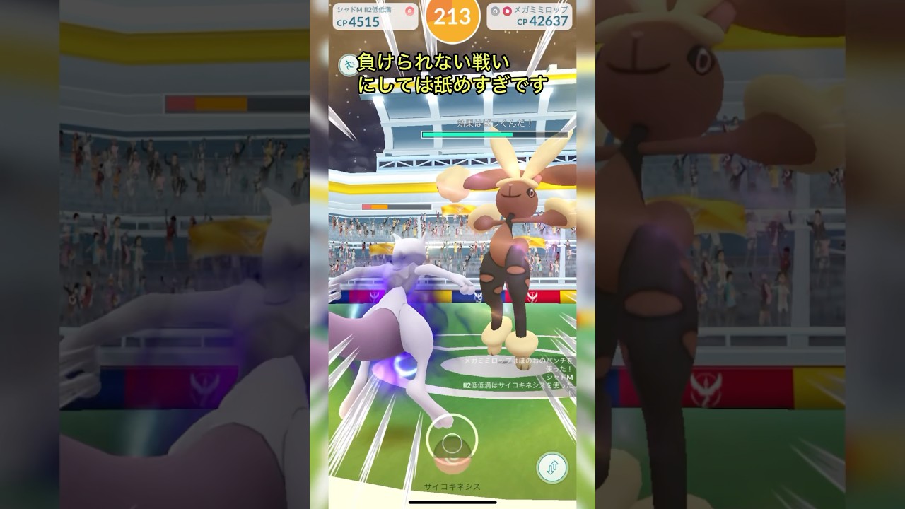 《ポケモンGO》ノリと勢いのソロ討伐〜雪のメガミミロップ編〜