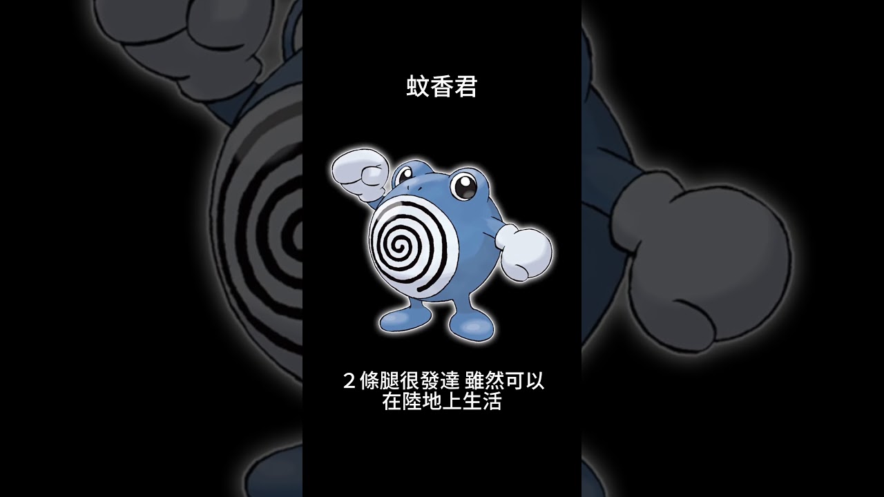 寶可夢圖鑑 #pokemon No.0061 蚊香君ニョロゾ Poliwhirl #0061 #寶可夢卡牌 #pokemongo  #寶可夢朱紫 #寶可夢 #shorts #第一世代 #神奇寶貝
