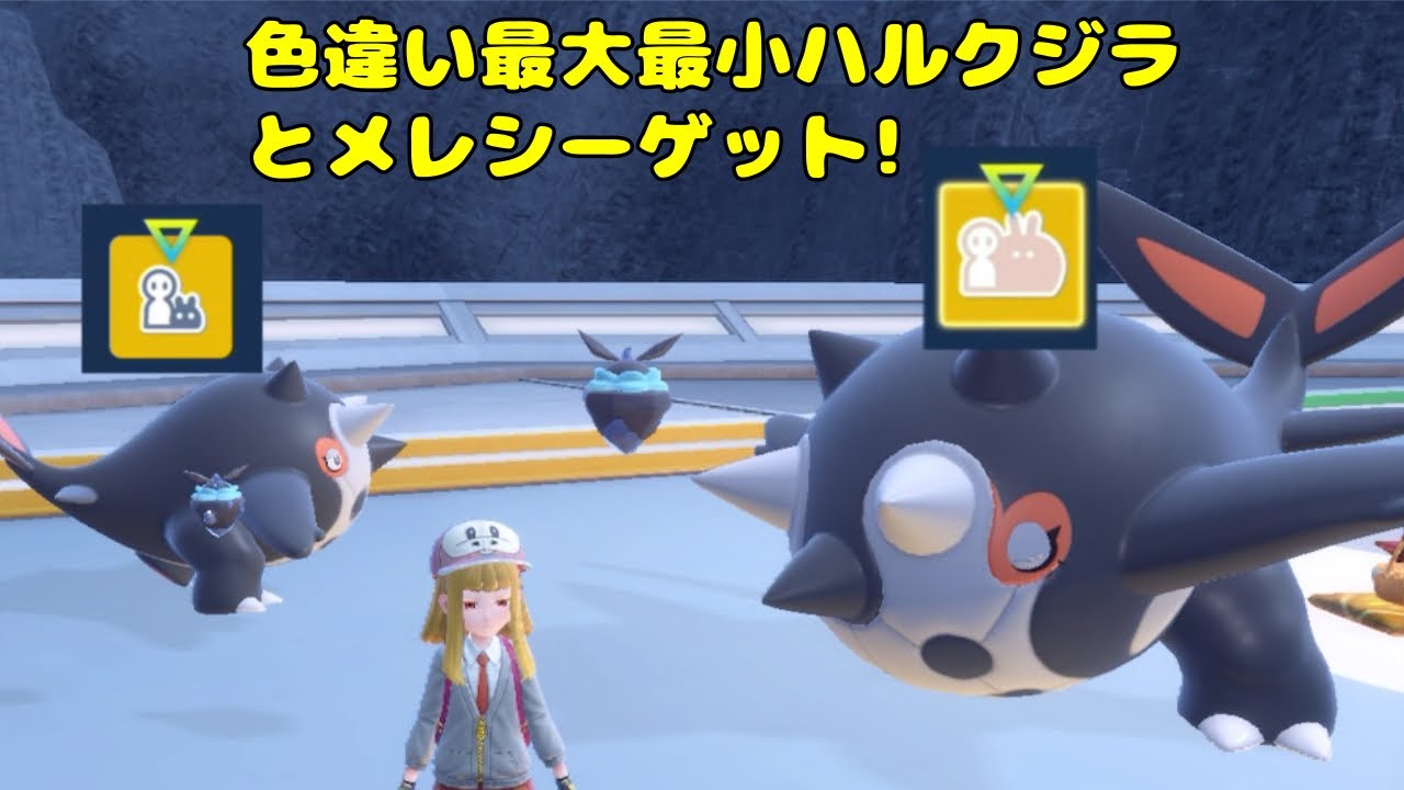 【雑談配信】色サイズポケモン厳選ジャアアアアアアアア！　ポケモンSV