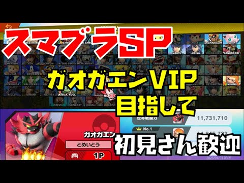【スマブラSP】ガオガエンVIP目指すよ