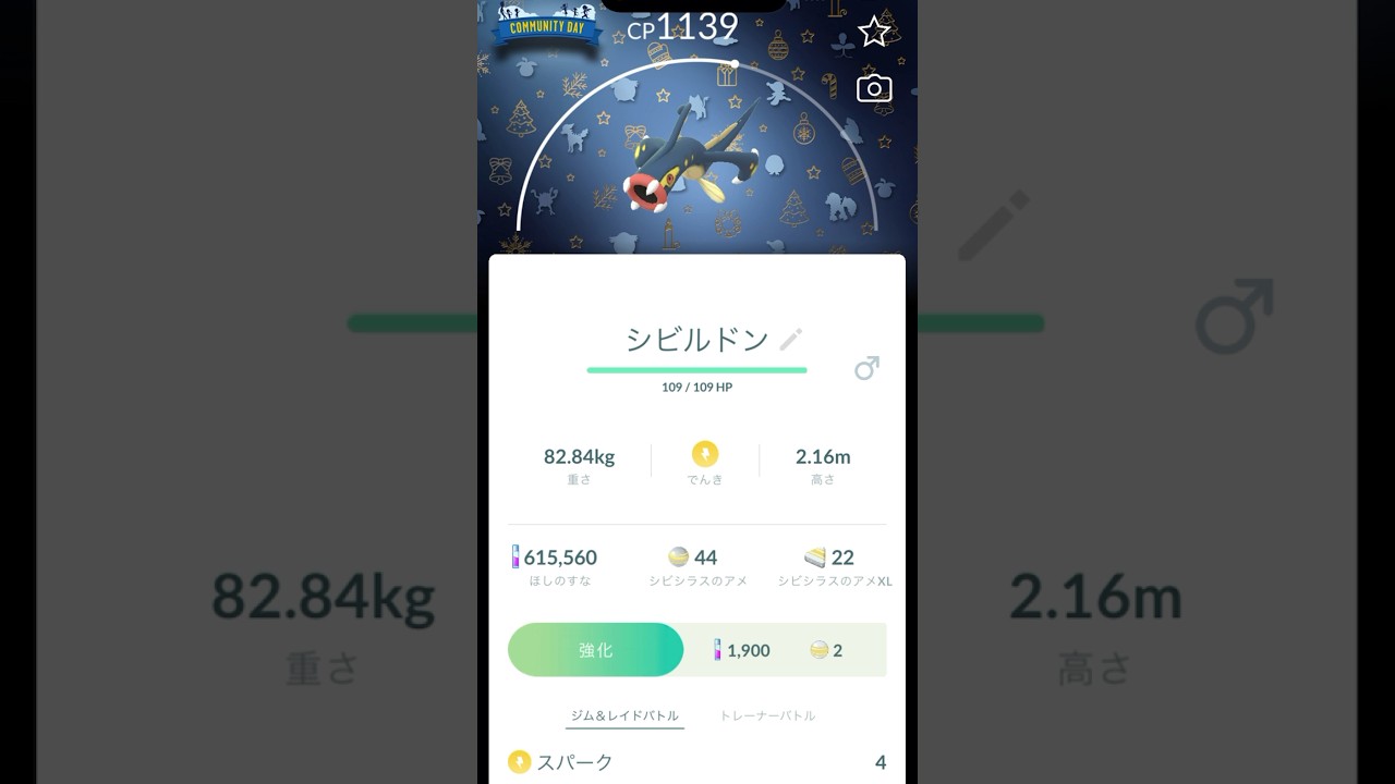 ポケモンGO クリスマス背景2024 シビシラス シビビール シビルドン 進化