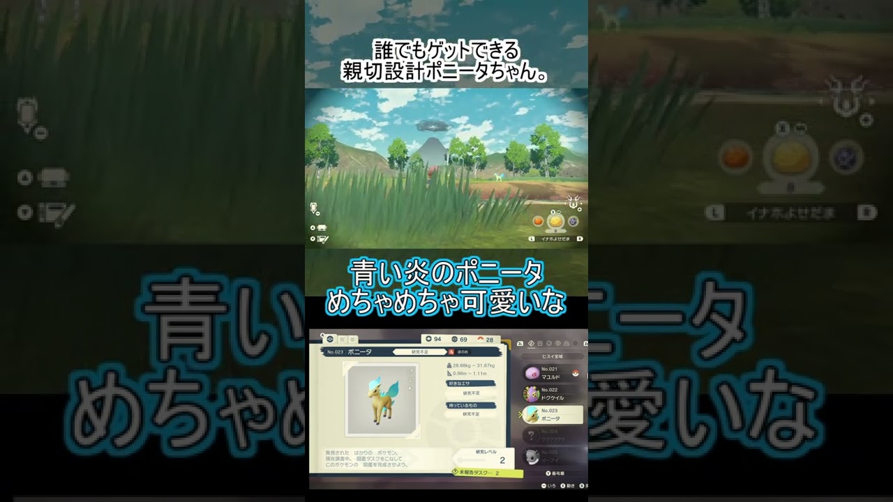 【Pokémon LEGENDS アルセウス】クエスト！おかしなポニータを見に行こう！【色違い】　#Shorts