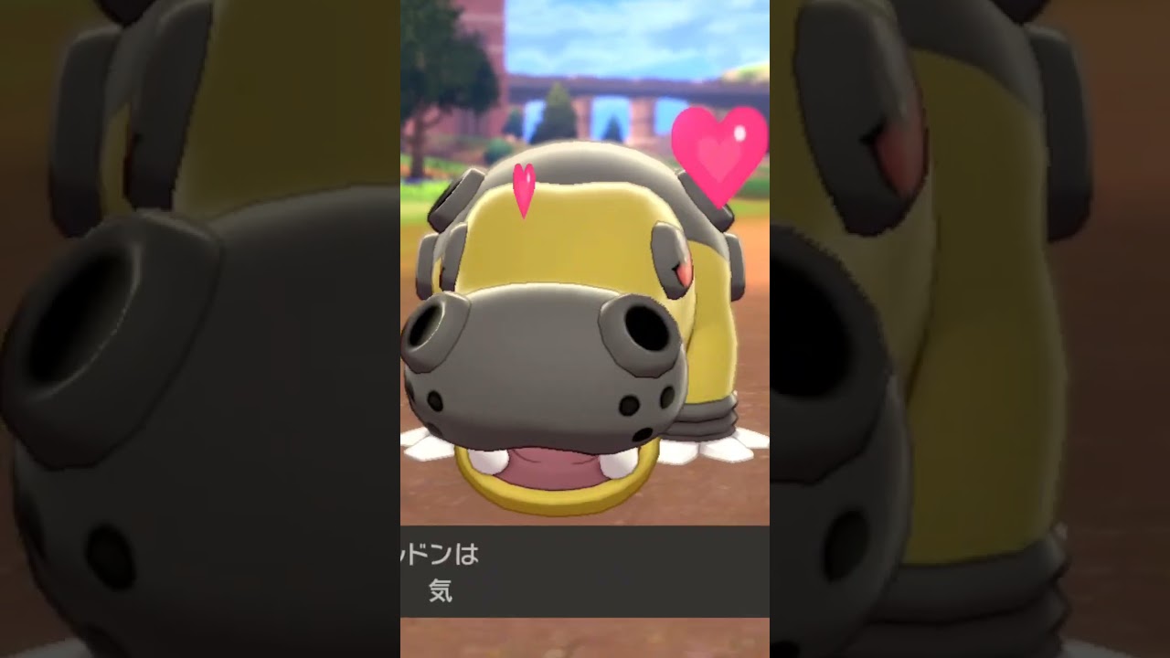 カバルドン♂ Hippowdon【ポケモン剣盾】