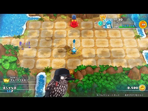 清らかな森グレイシア