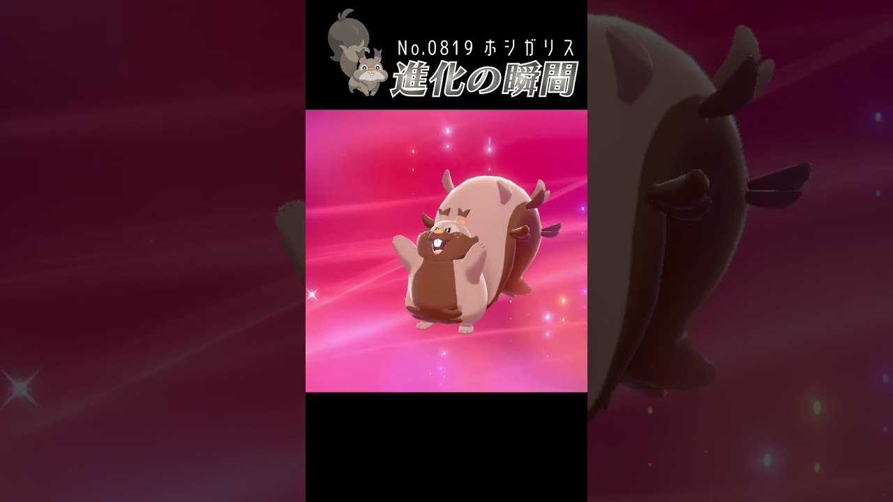 【ポケモン剣盾】ホシガリス 進化の瞬間 #shorts