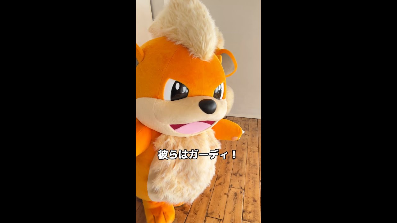 【公式】彼らはガーディ！