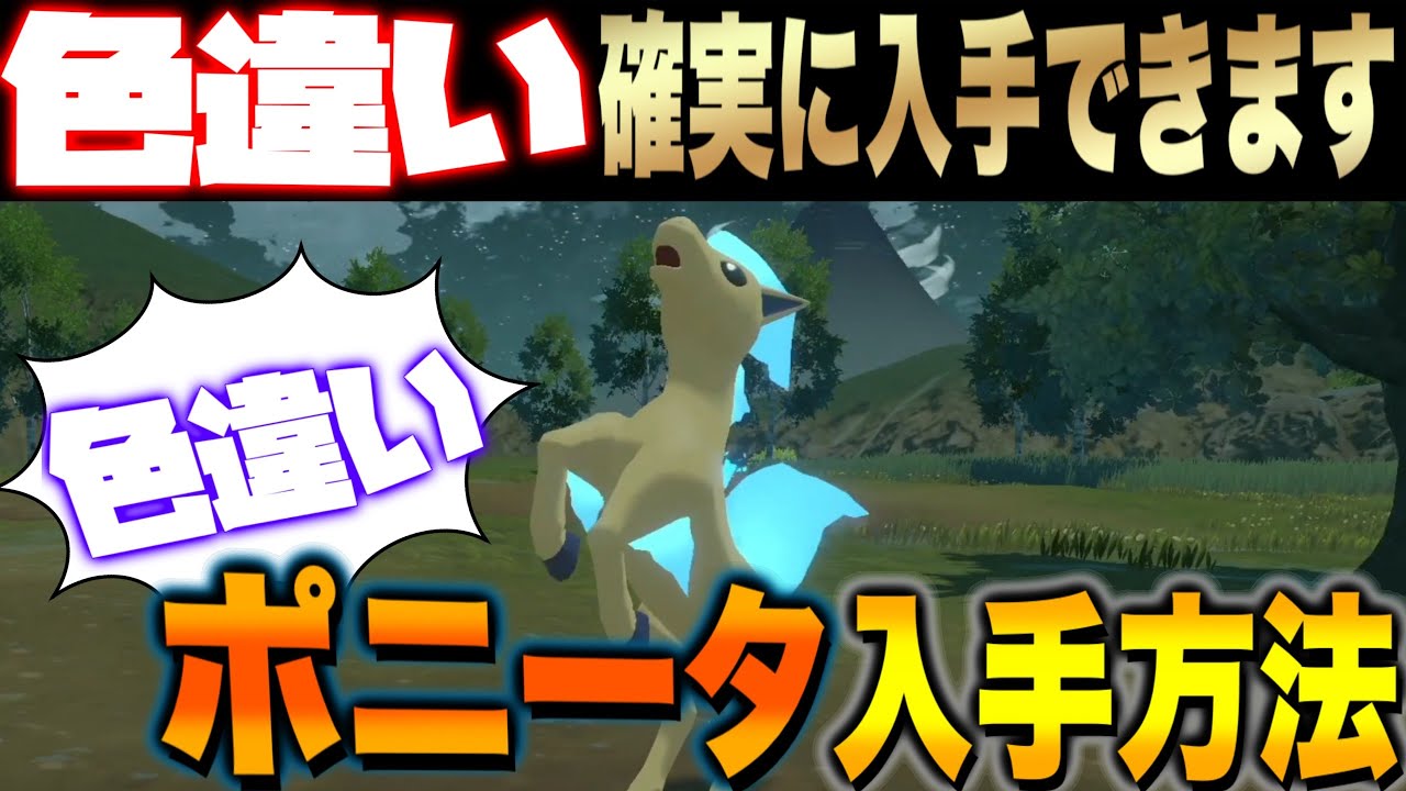 誰でも簡単に色違いポニータをゲット!!入手方法と出現条件を詳しく解説！【Pokémon LEGENDS アルセウス】