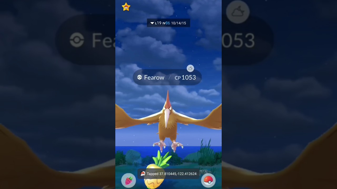 get fearow with a fairly strong attack power #pokemongo #newshiny #pokemon #pokemonlangka
