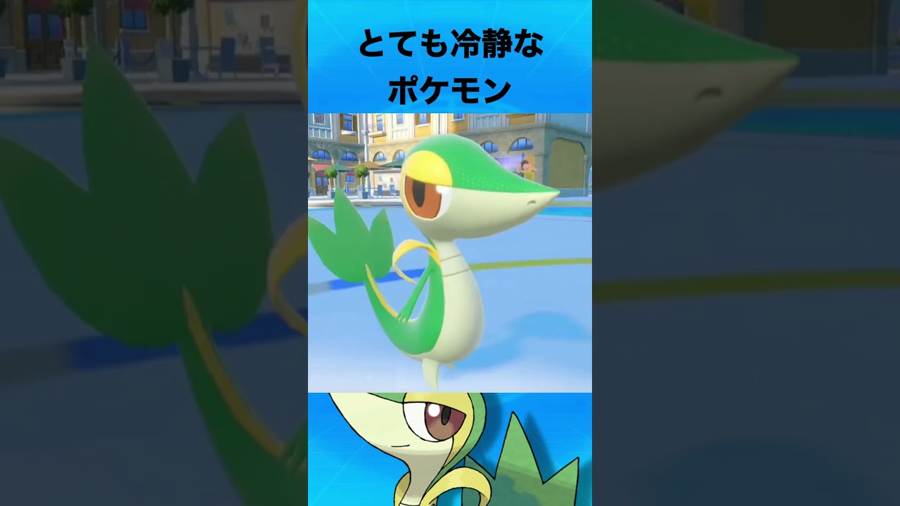 ツタージャについて #ポケモン #ツタージャ #御三家